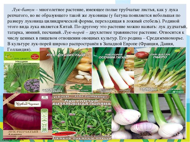 Особенности ухода